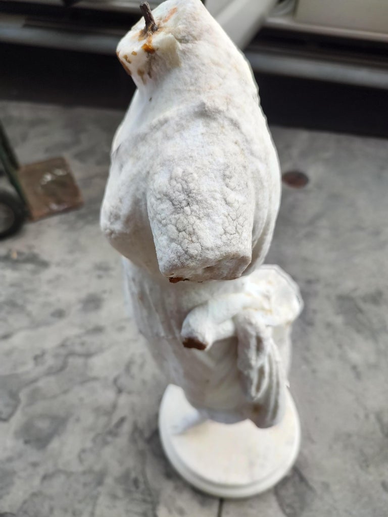 19th Century Hand Chilseled Marble Torso of a Victorian Maiden For Sale ...