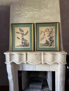 19th Century Hand Colored Etchings of Chinese Plants in France by Chastillion