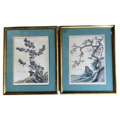 19th Century Hand Colored Etchings of Chinese Plants in France by Chastillion