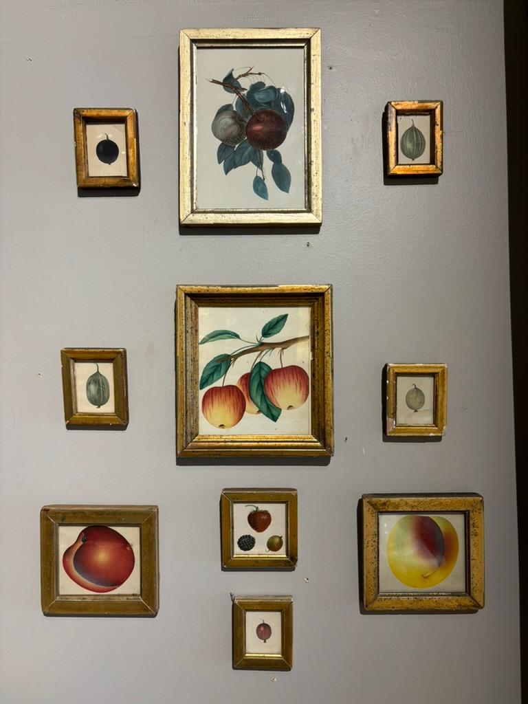 Amerikanische gerahmte Stillleben aus dem 19. Jahrhundert, bestehend aus 10 Stücken.

Gruppe von 10 kleinen gerahmten Stillleben mit Obst, darunter: Aquarell
Theorem mit Äpfeln auf einem Zweig; handkolorierte Gravur mit
Aquatinta mit der Darstellung