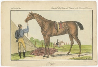 19th Century Hand-Colored Lithograph of Horse "Bergère" from Journal des Haras, view 2