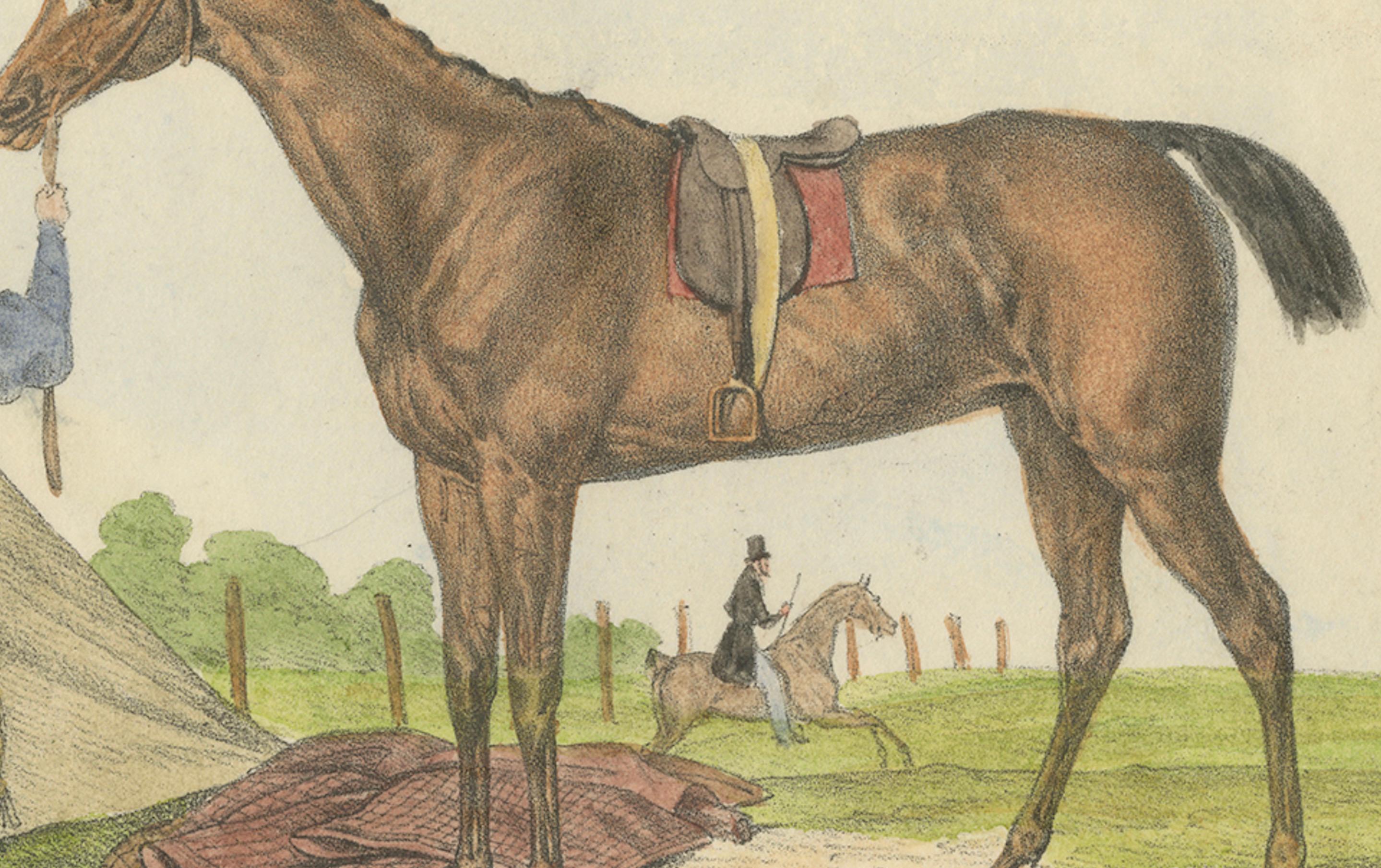 Handkolorierte Lithographie des Pferdes 