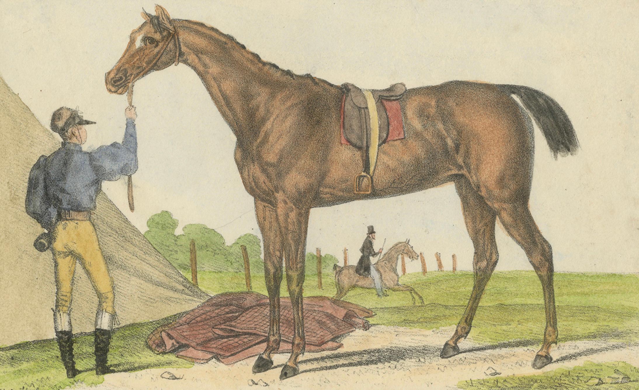 Handkolorierte Lithographie des Pferdes 