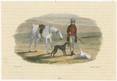 19th Century Hand-Colored Woodcut Engravings of English Hunter, Horse, and Dogs