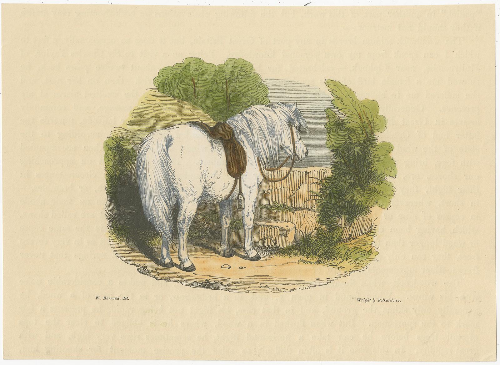 Engraved 19th Century Hand-Colored Woodcut Engravings of English Hunter, Horse, and Dogs For Sale