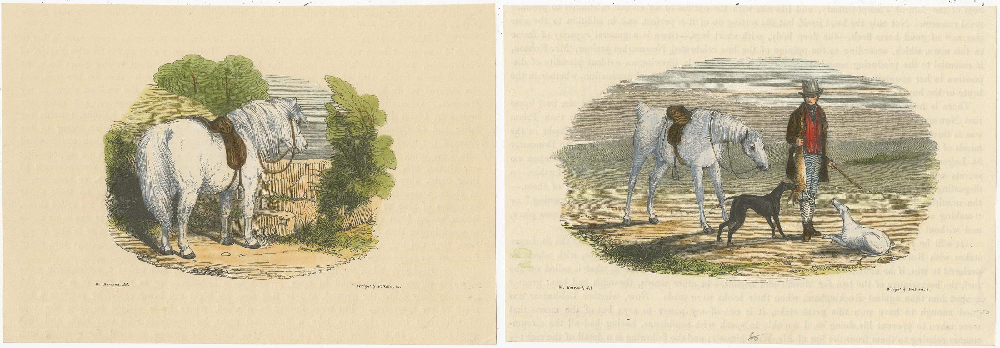 19th Century Hand-Colored Woodcut Engravings of English Hunter, Horse, and Dogs In Good Condition For Sale In Langweer, NL