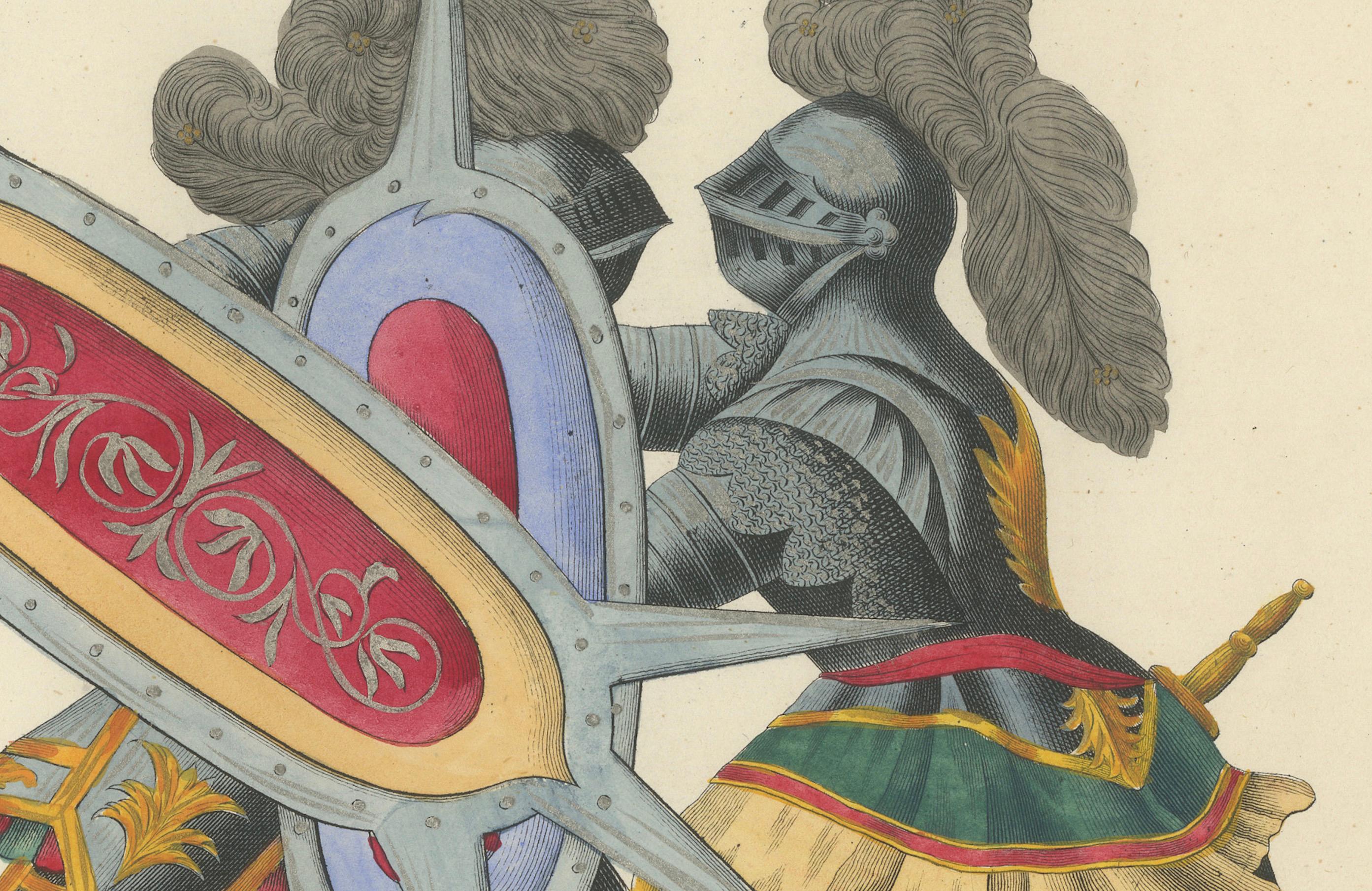 Handkolorierte Lithographie eines gewölbten Duels mit gesprenkelten Schildkröten aus dem 19. Jahrhundert (Mittleres 19. Jahrhundert) im Angebot