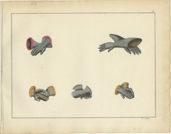 19th-Century Hand-Coloured Lithograph of Medieval Gauntlets and Arm Defenses