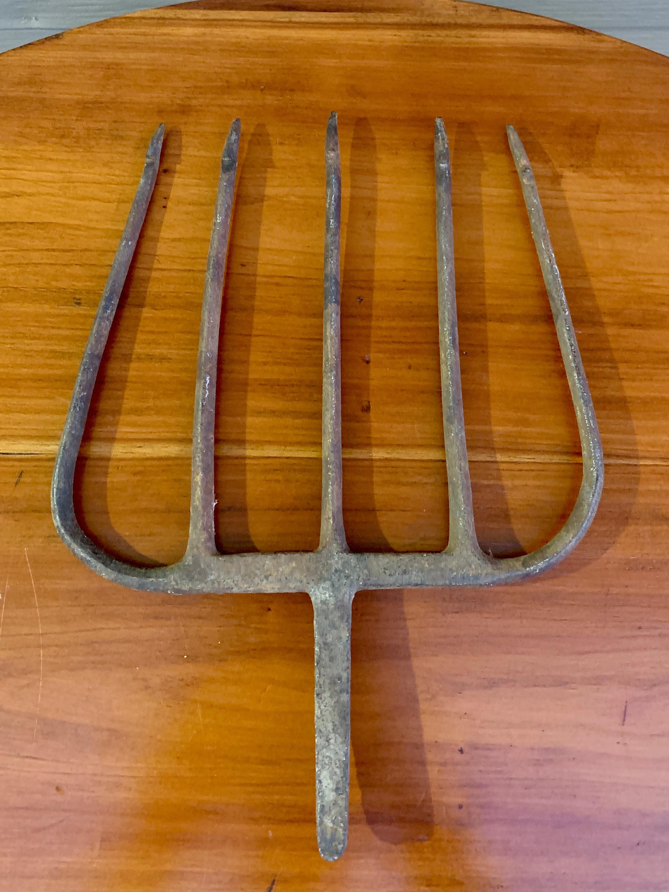 A beautiful hand forged wrought iron fishing harpoon with five prongs and arrow tips. This piece has a wonderful sculptural quality and patina. It would look perfect on a tabletop, mounted, or hanging on the wall.

USA, Late 19th Century

Measures: