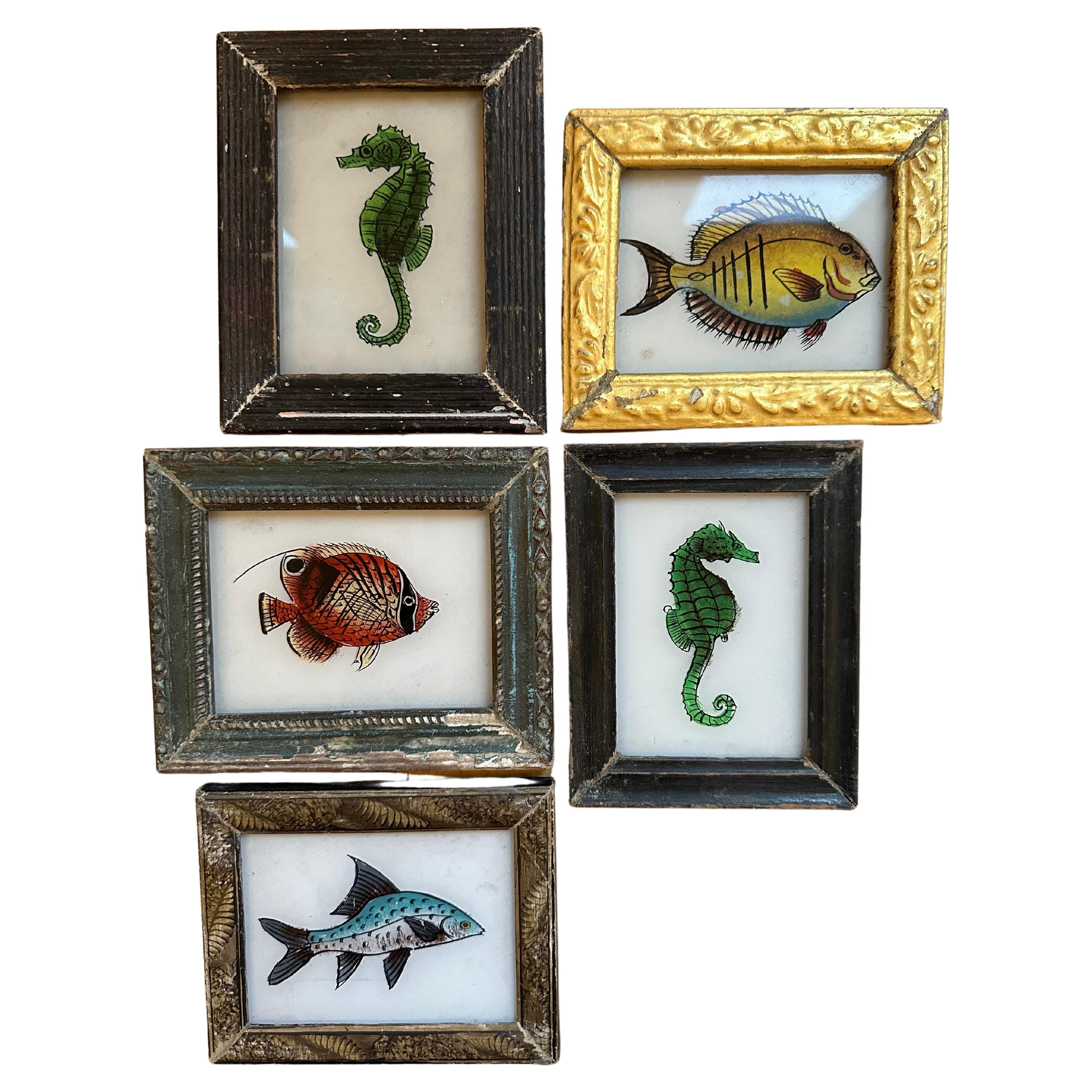19th-Century Hand-Painted Aquatic Collection, Fish Illustrations For Sale