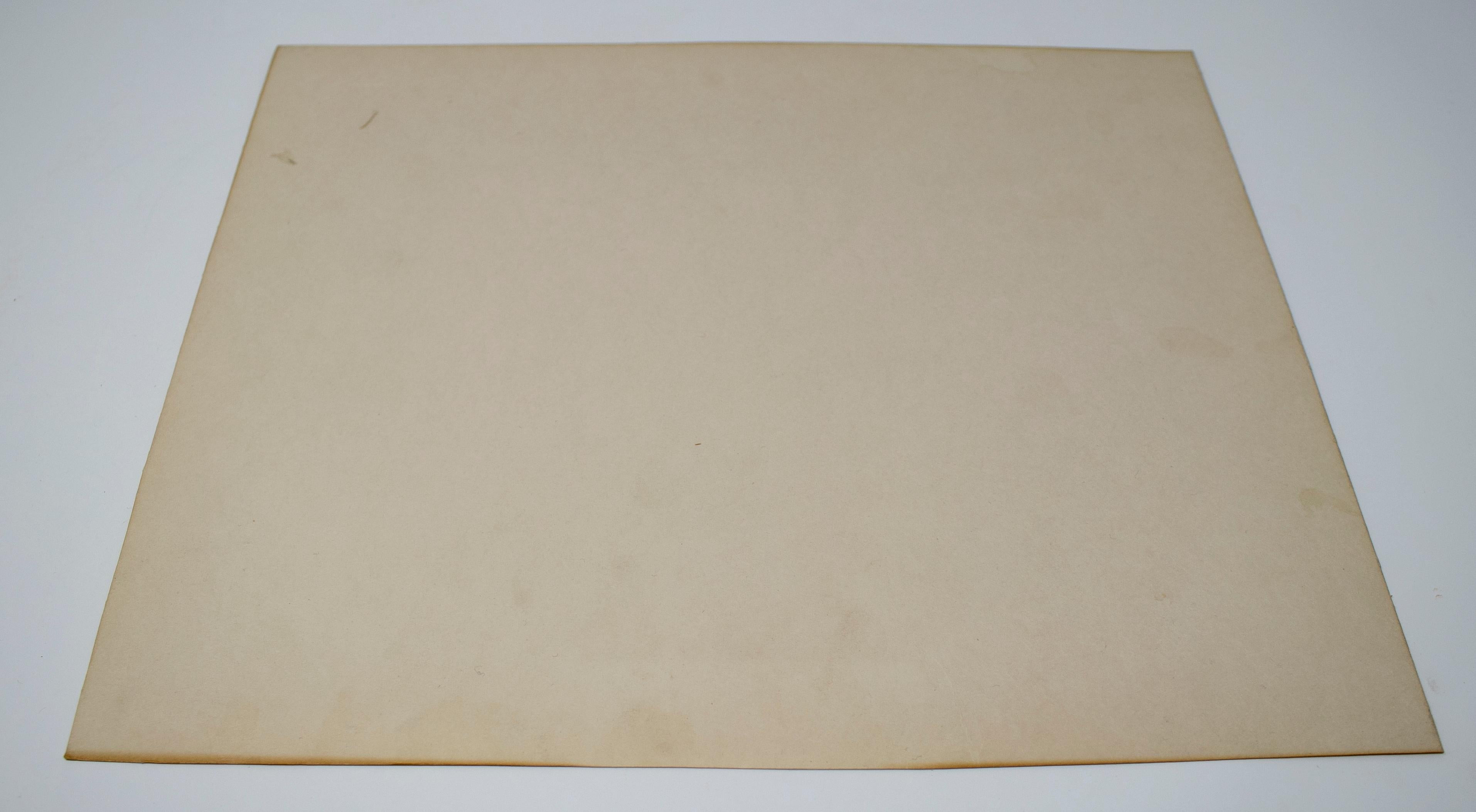 Disegno dipinto a mano del XIX secolo su tela indiana in vendita 2