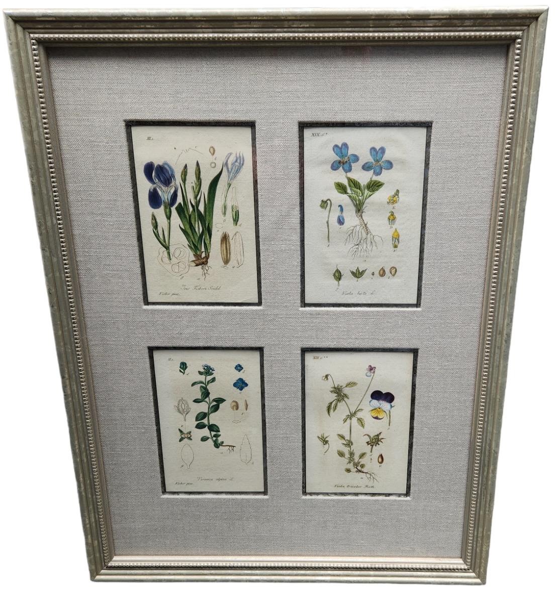 19th Century Hand Tinted Botanical Lithographs - 12 Available For Sale 5