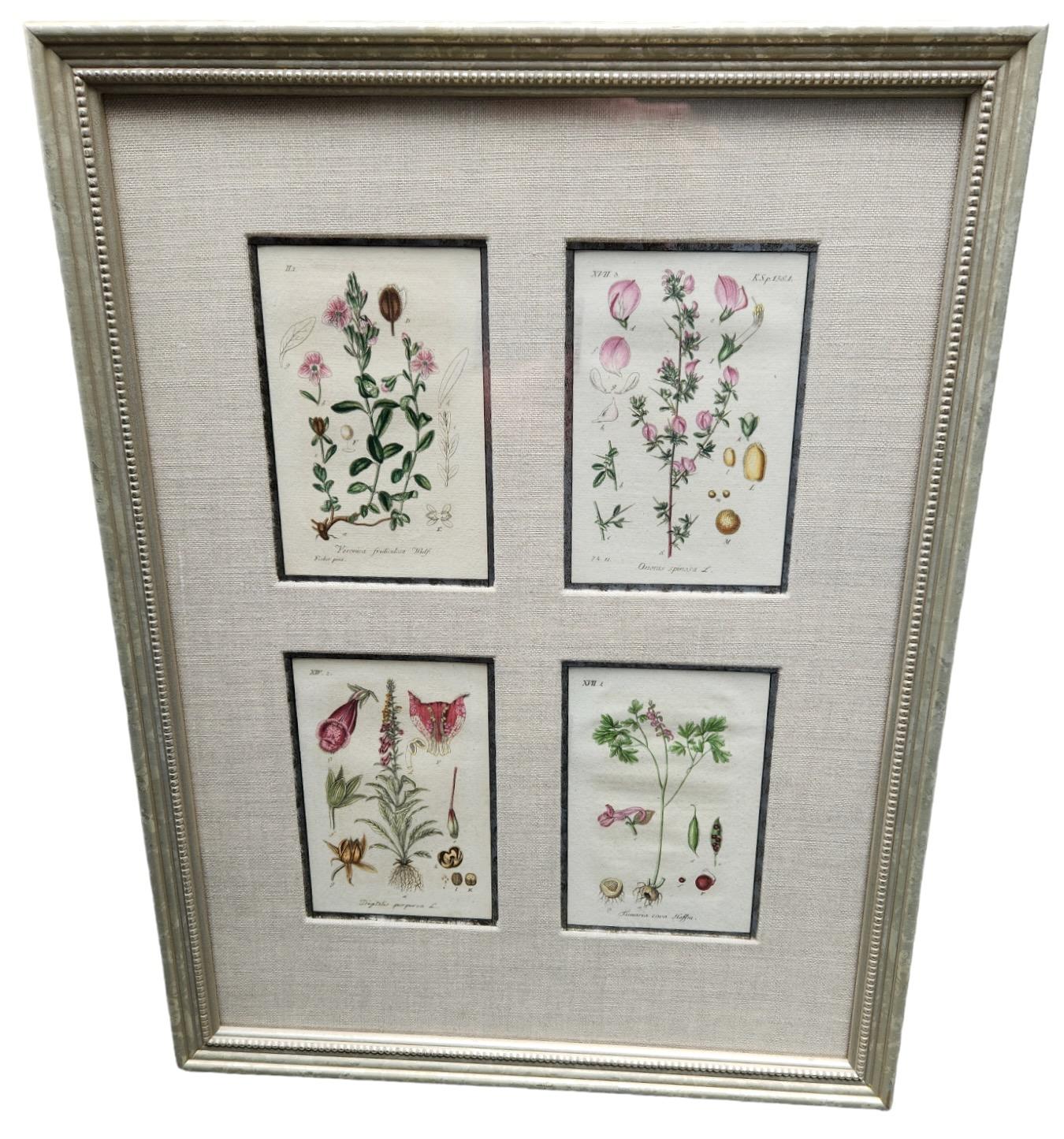 19th Century Hand Tinted Botanical Lithographs - 12 Available For Sale 7
