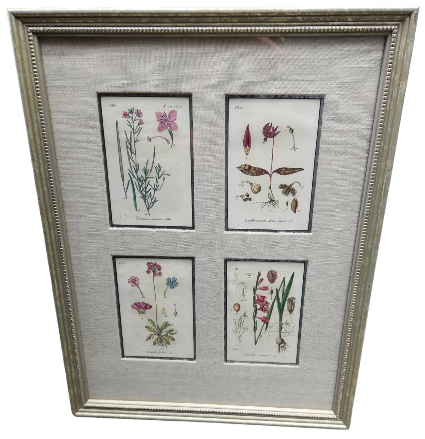 19th Century Hand Tinted Botanical Lithographs - 12 Available For Sale 10