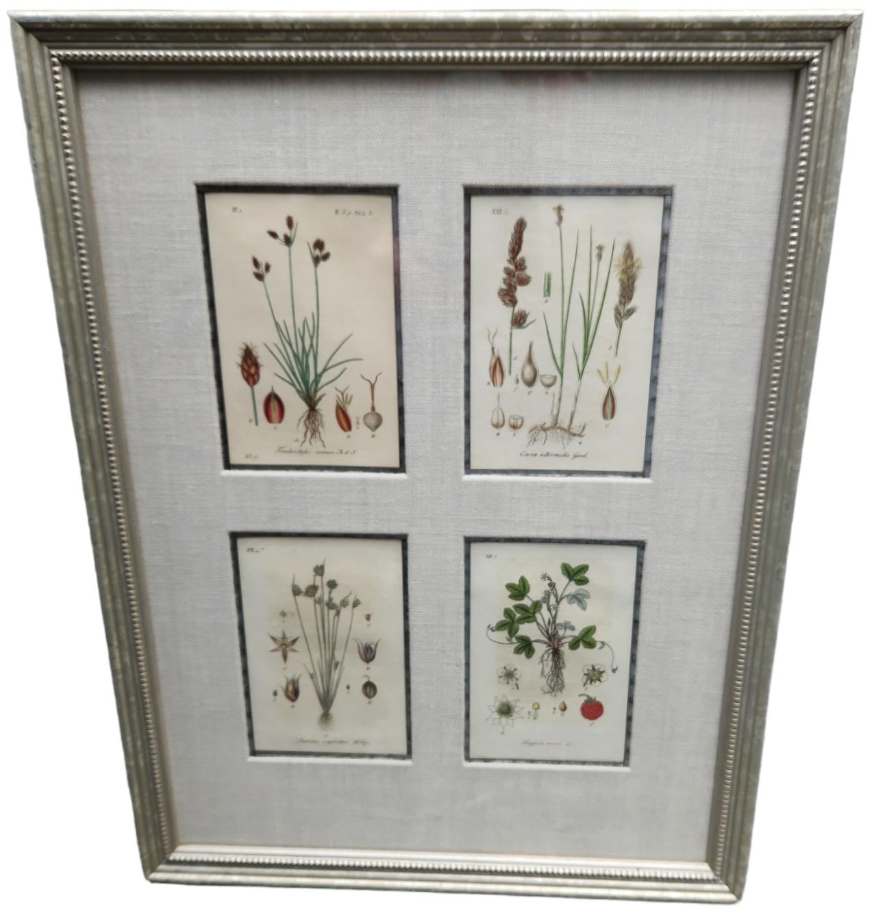 19th Century Hand Tinted Botanical Lithographs - 12 Available For Sale 11