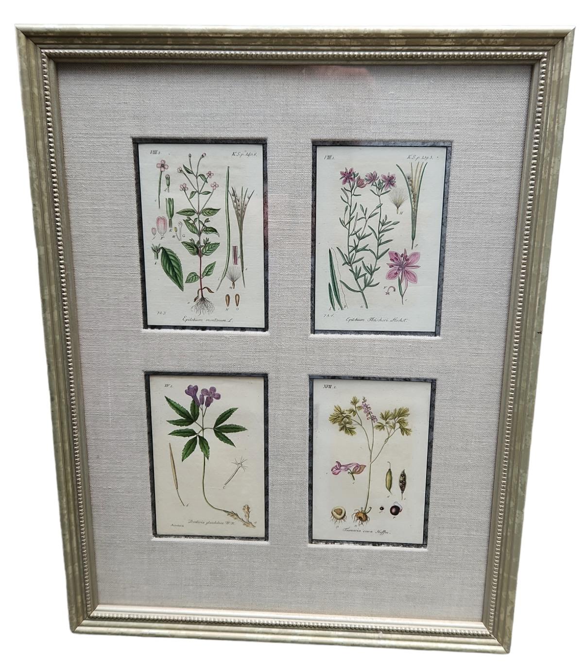 19th Century Hand Tinted Botanical Lithographs - 12 Available For Sale 12