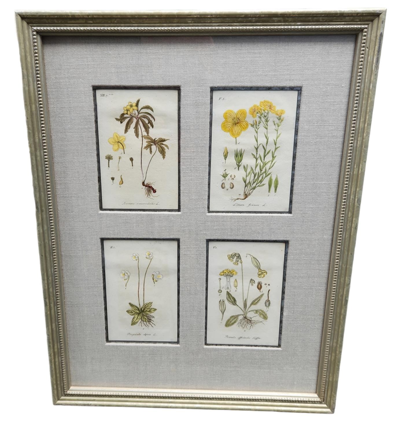 Hand tinted botanical lithographs. Framed and matted with linen. Four individual lithographs within one frame. 12 available.