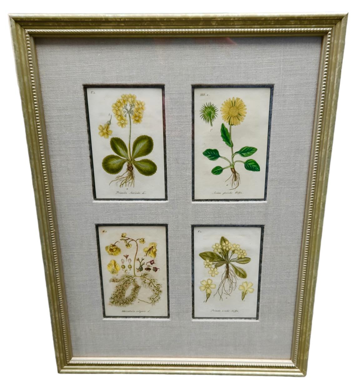 English 19th Century Hand Tinted Botanical Lithographs - 12 Available For Sale