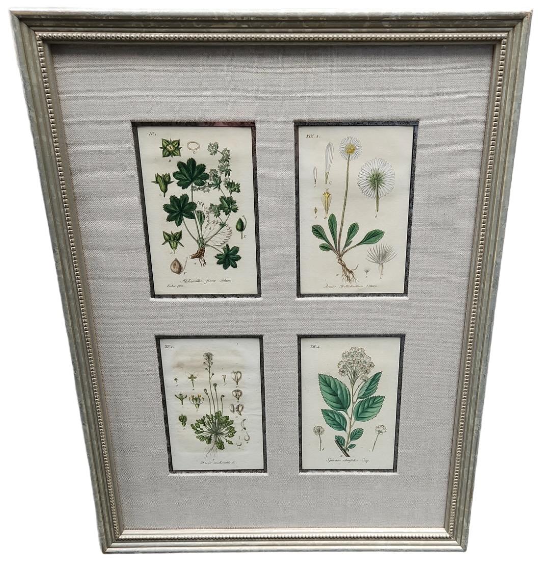 Hand-Crafted 19th Century Hand Tinted Botanical Lithographs - 12 Available For Sale