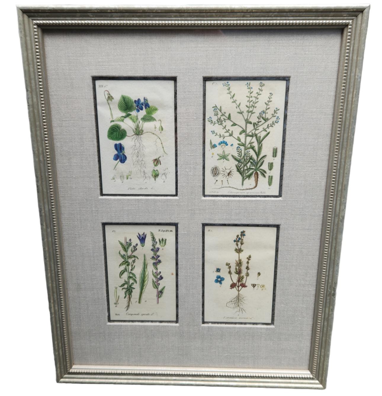 Linen 19th Century Hand Tinted Botanical Lithographs - 12 Available For Sale