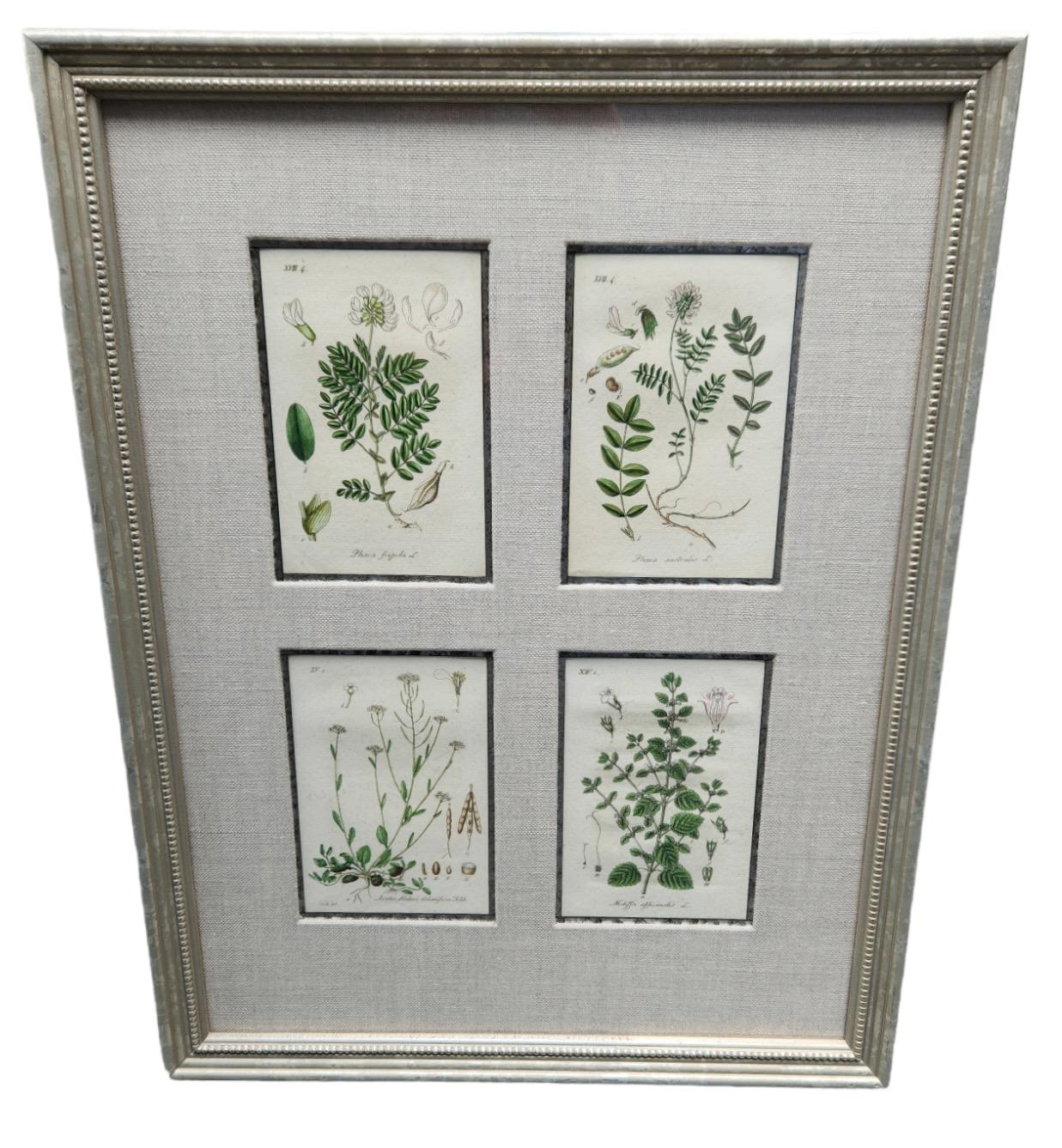 19th Century Hand Tinted Botanical Lithographs - 12 Available For Sale 1