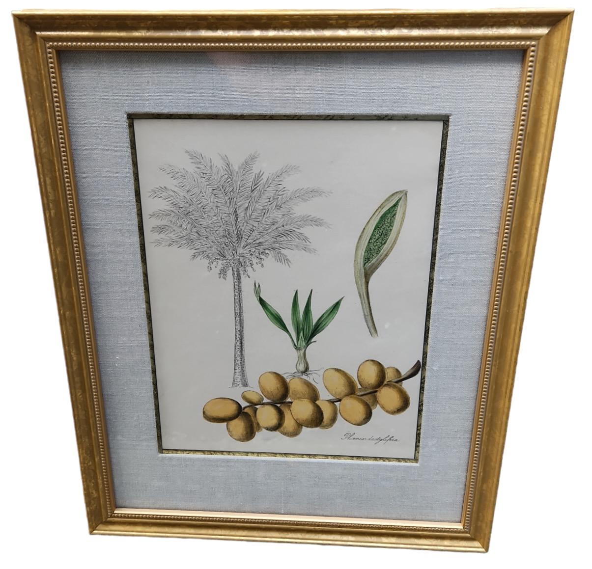 English 19th Century Hand Tinted Botanicals - 19 Available For Sale