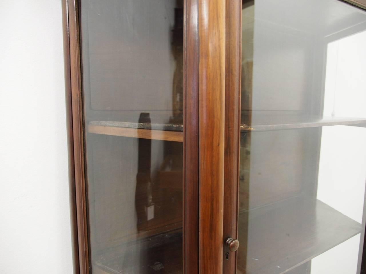 19th Century Hardwood Display Cabinet For Sale 1