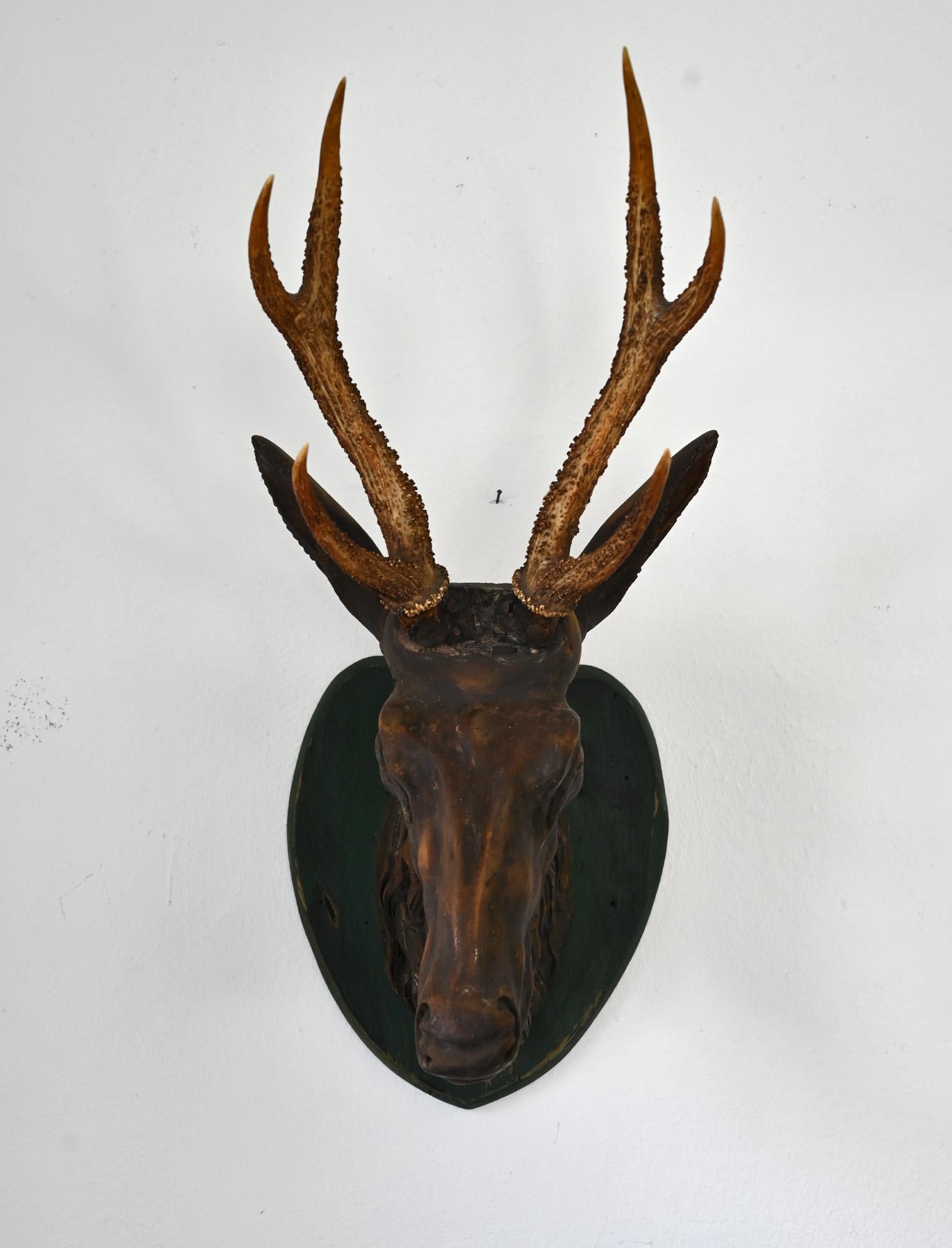 Alpine roebuck head with beautiful roebuck horns out of carved wood and colored
Skillfully elaborated carving, alpine, probably Bavaria
original version.
