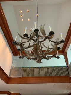 19th Century Horns Chandelier from North America