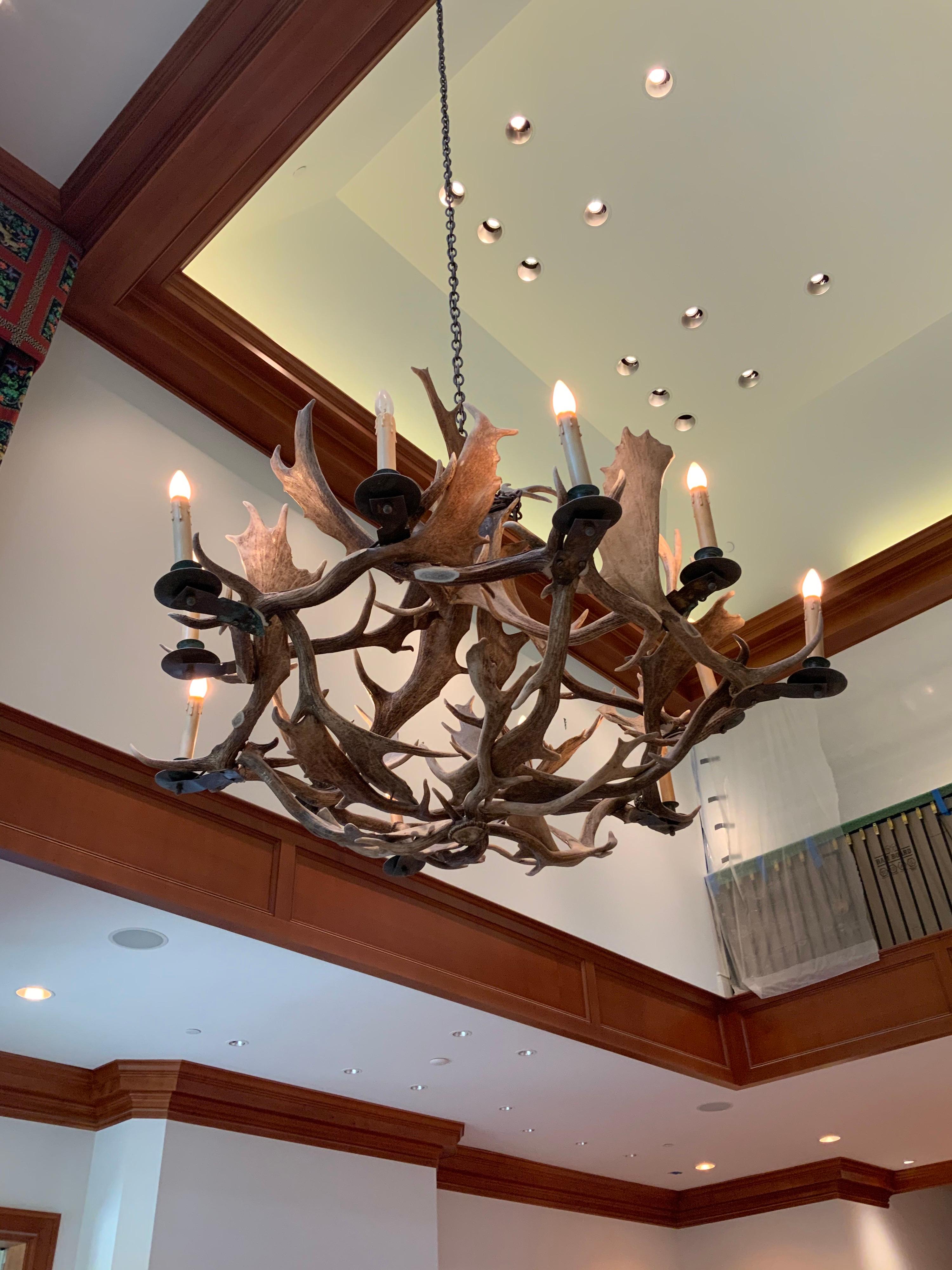 North American 19th Century Horns Chandelier from North America