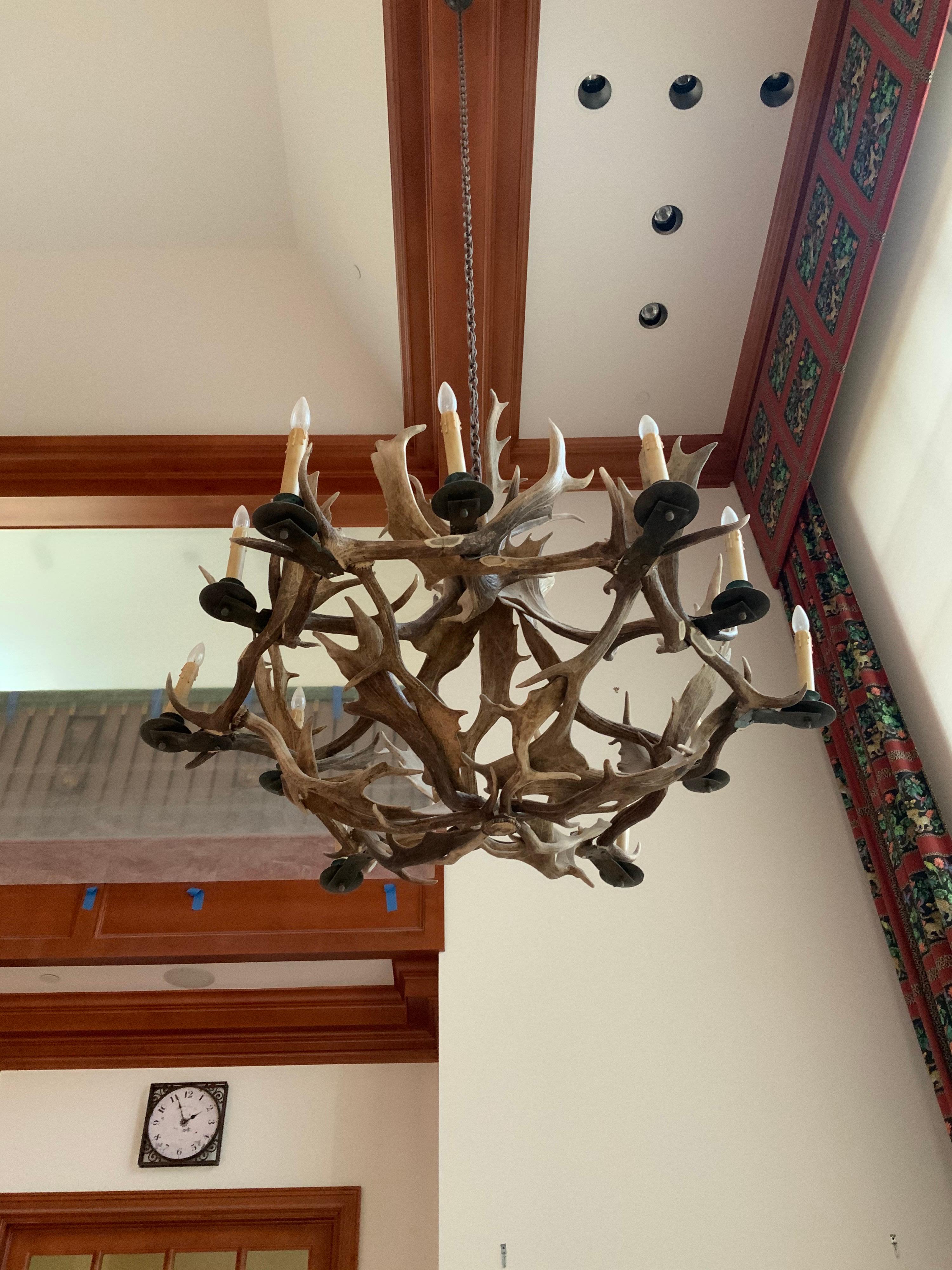 19th Century Horns Chandelier from North America In Good Condition In Dallas, TX