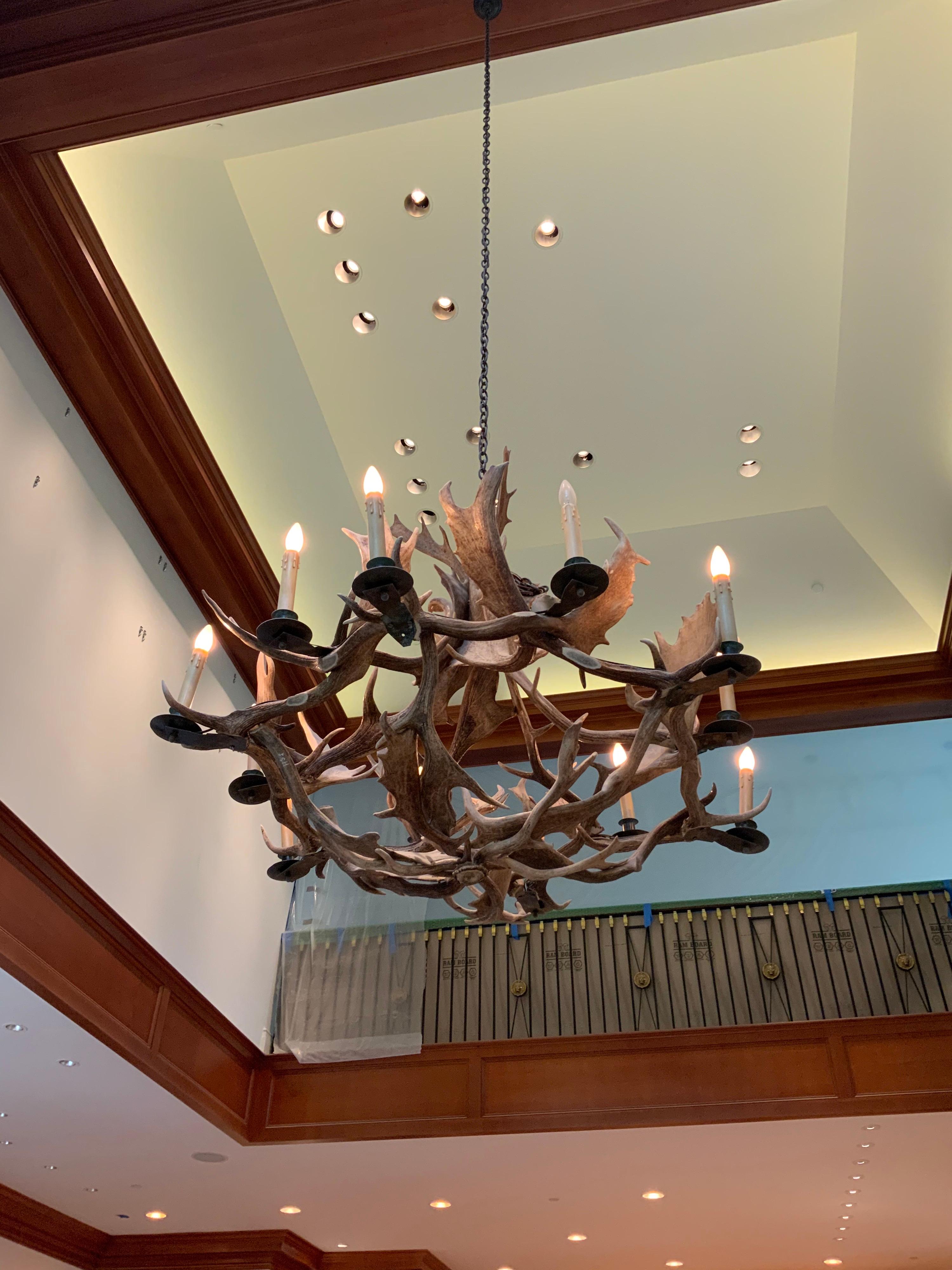 19th Century Horns Chandelier from North America 1