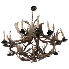 19th Century Horns Chandelier from North America