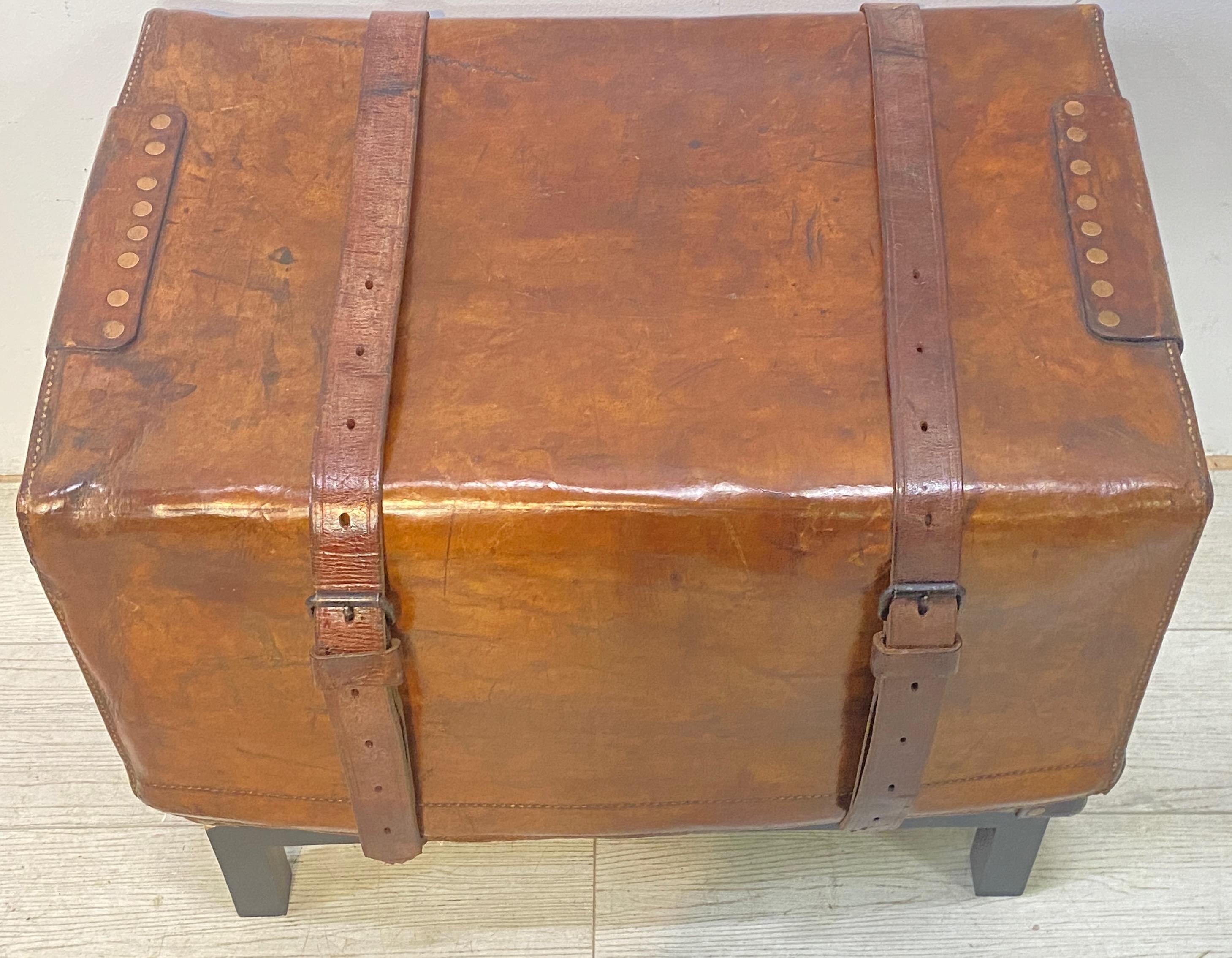 19th Century Horse Hide Leather Carriage Trunk 3