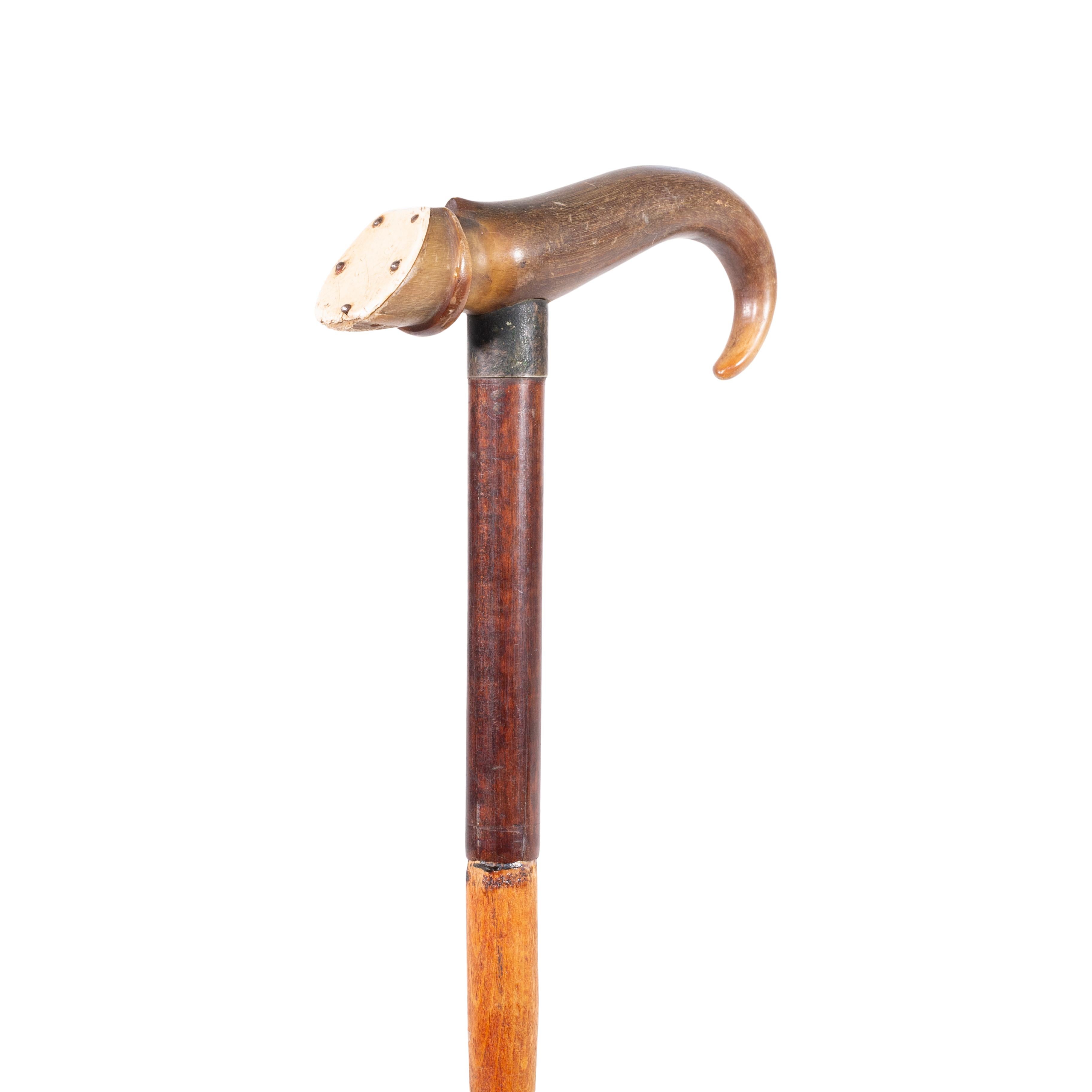 19th Century Horse Hoof Gentleman's Cane In Good Condition For Sale In Coeur d'Alene, ID