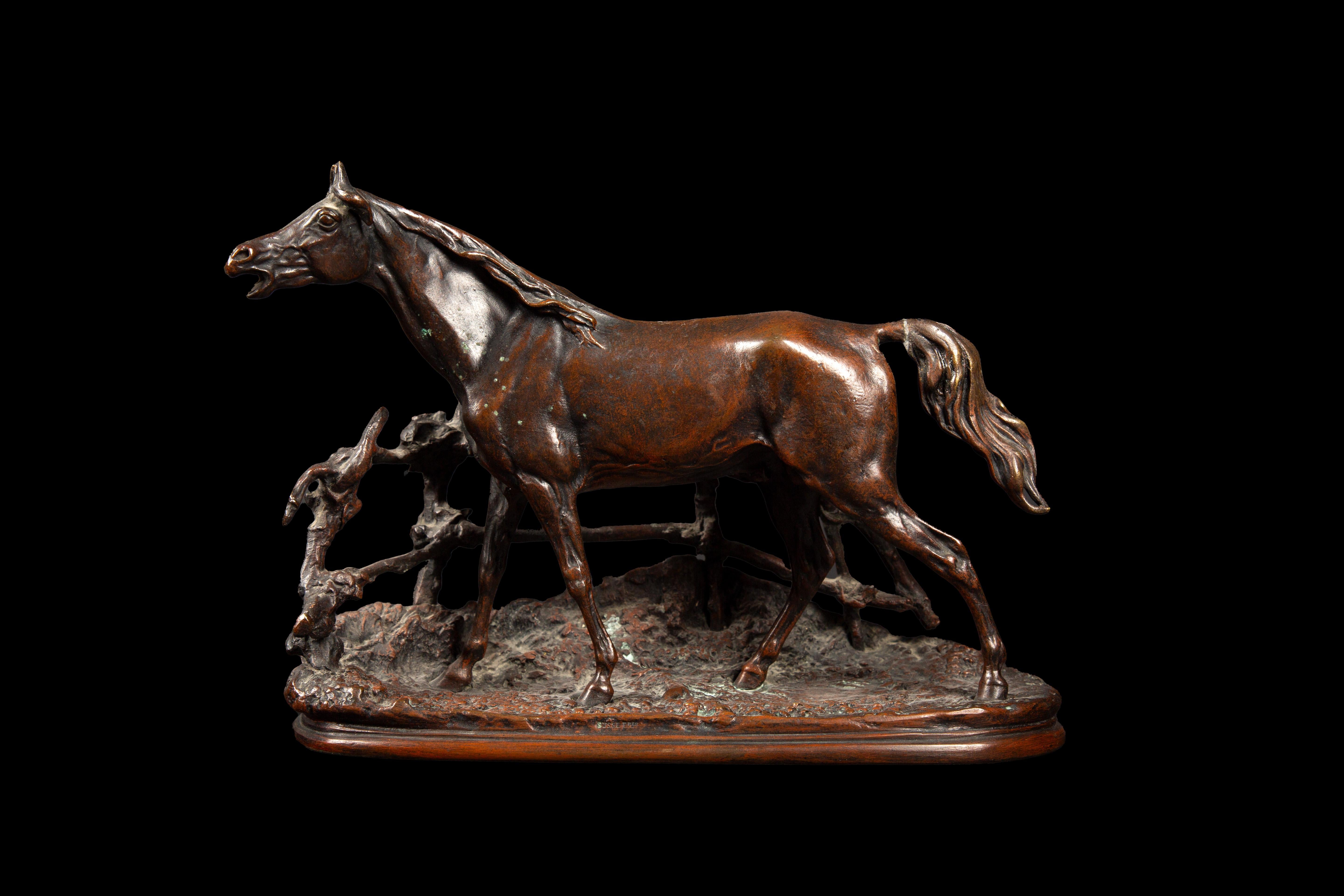 Experience the timeless elegance of equestrian beauty with this exquisite bronze proof featuring a horse in the paddock, adorned with a rich brown patina, and distinguished by the signature and founder's mark of the esteemed artist Pierre-Jules Mêne