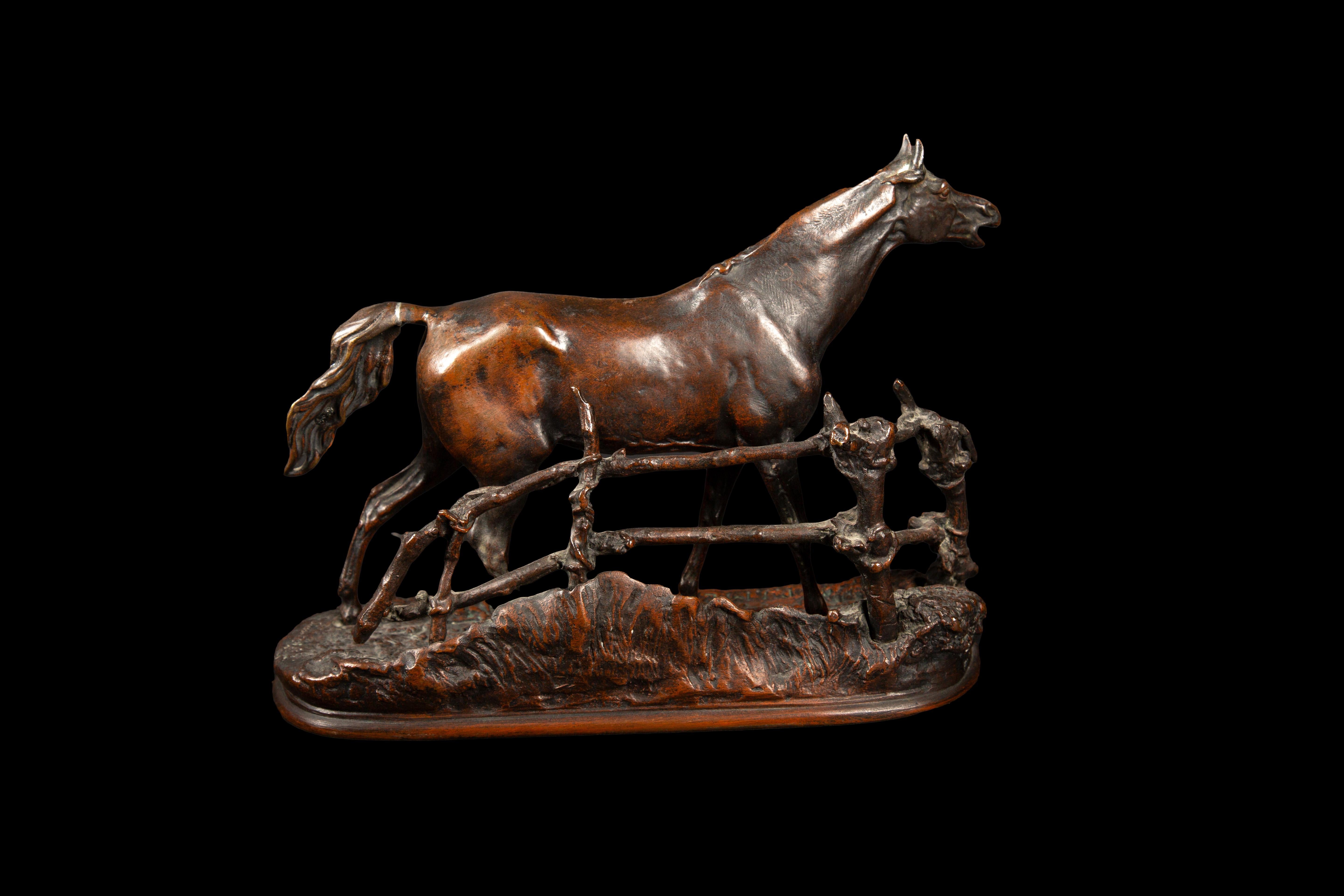 French 19th Century Horse in the Paddock: Bronze Proof by Pierre-Jules Mêne For Sale