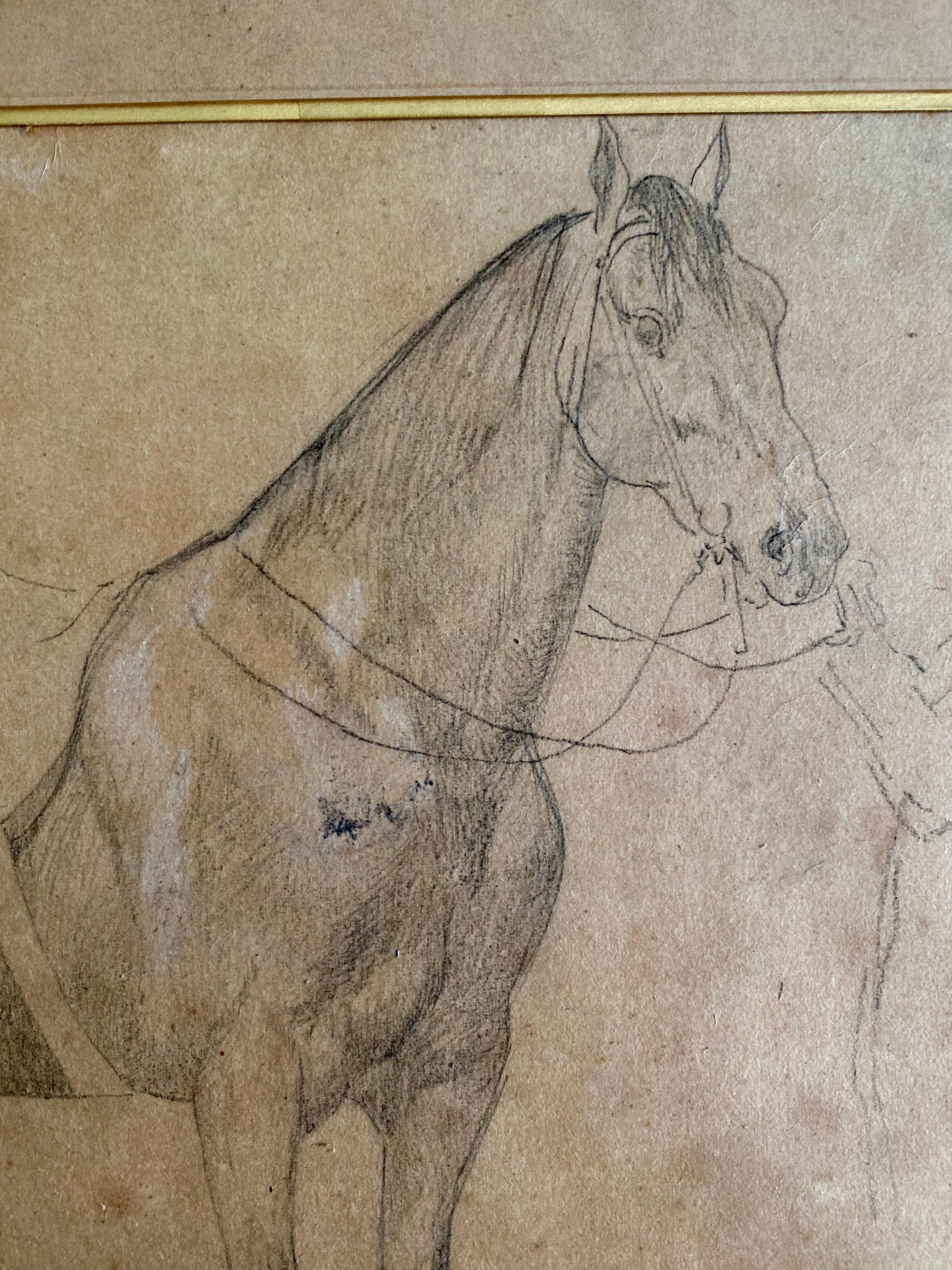 Estudio de caballo del siglo XIX - Dibujo a lápiz - Enmarcado - Francia en Bueno estado para la venta en Beuzevillette, FR