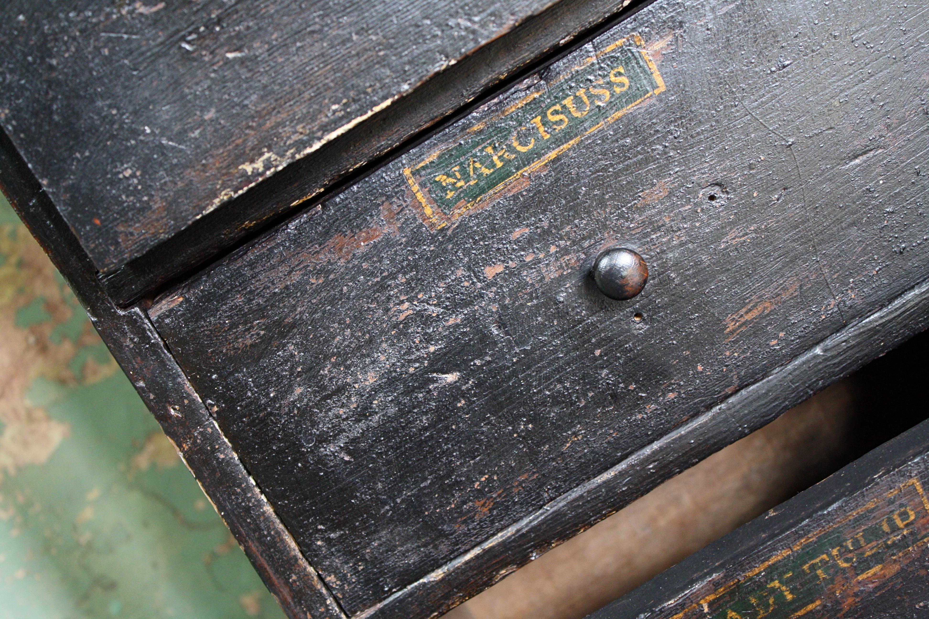 19th Century Horticulturalist Merchants Bank of Seed Shop Drawers 2