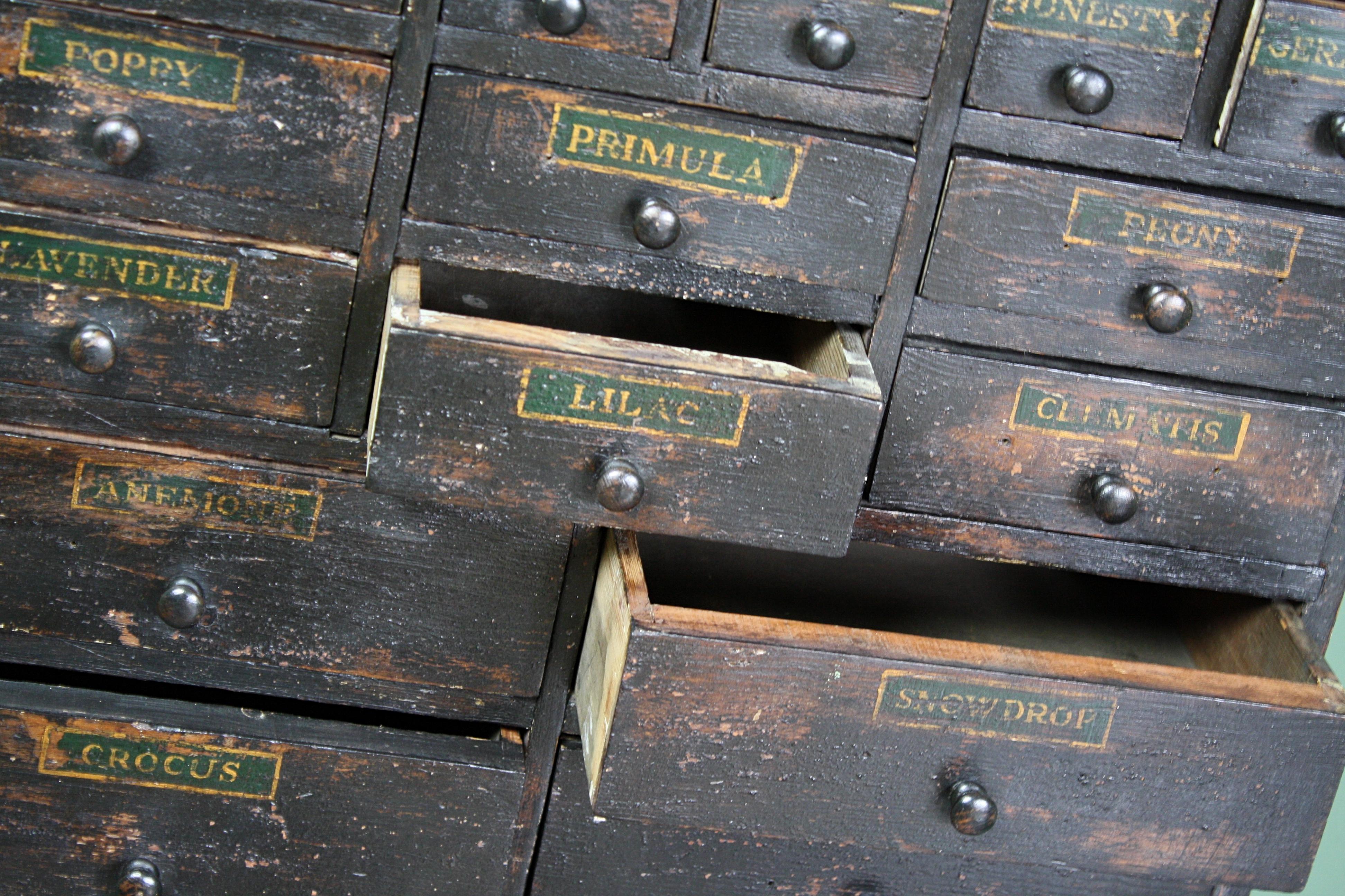 19th Century Horticulturalist Merchants Bank of Seed Shop Drawers 4