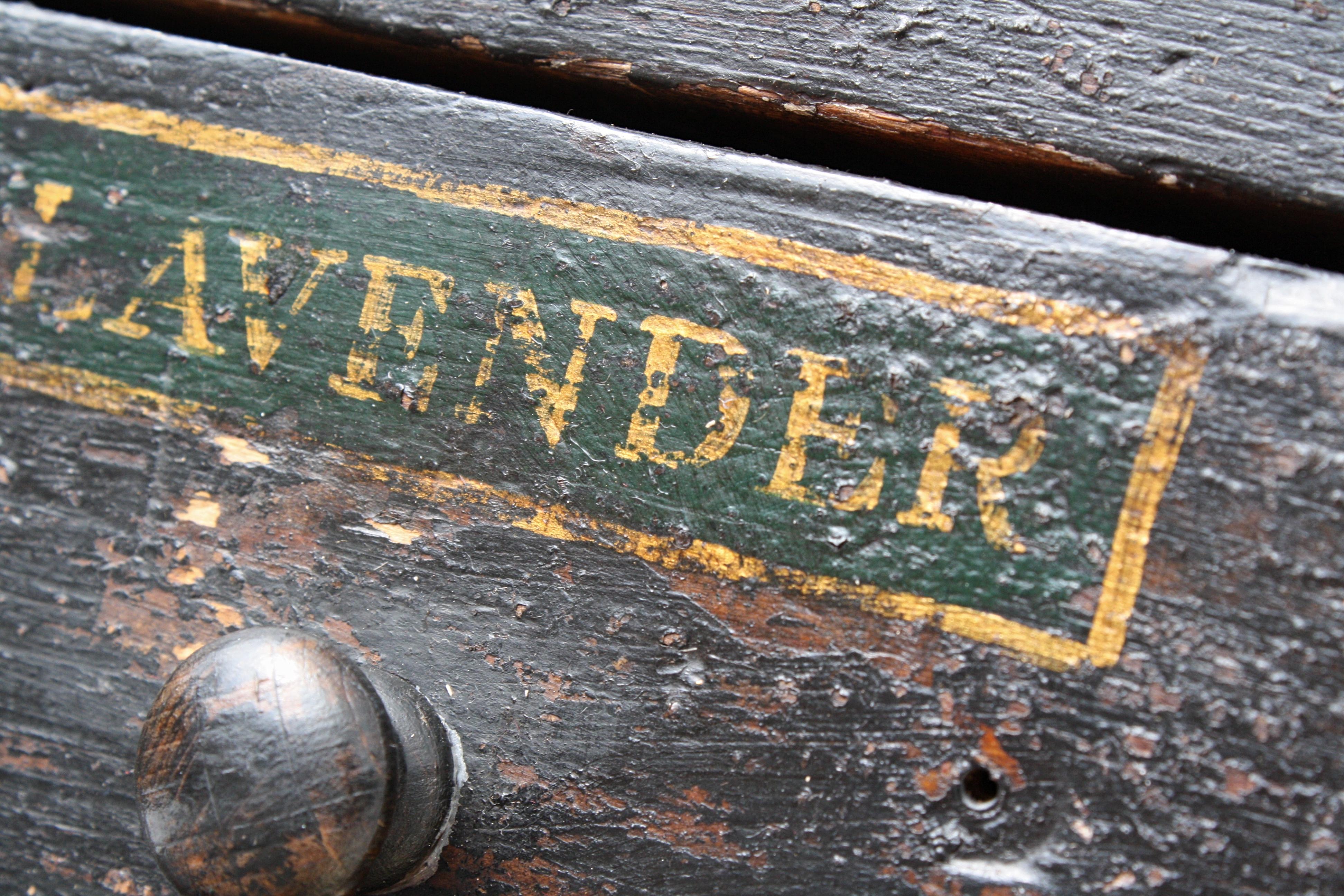 19th Century Horticulturalist Merchants Bank of Seed Shop Drawers 6