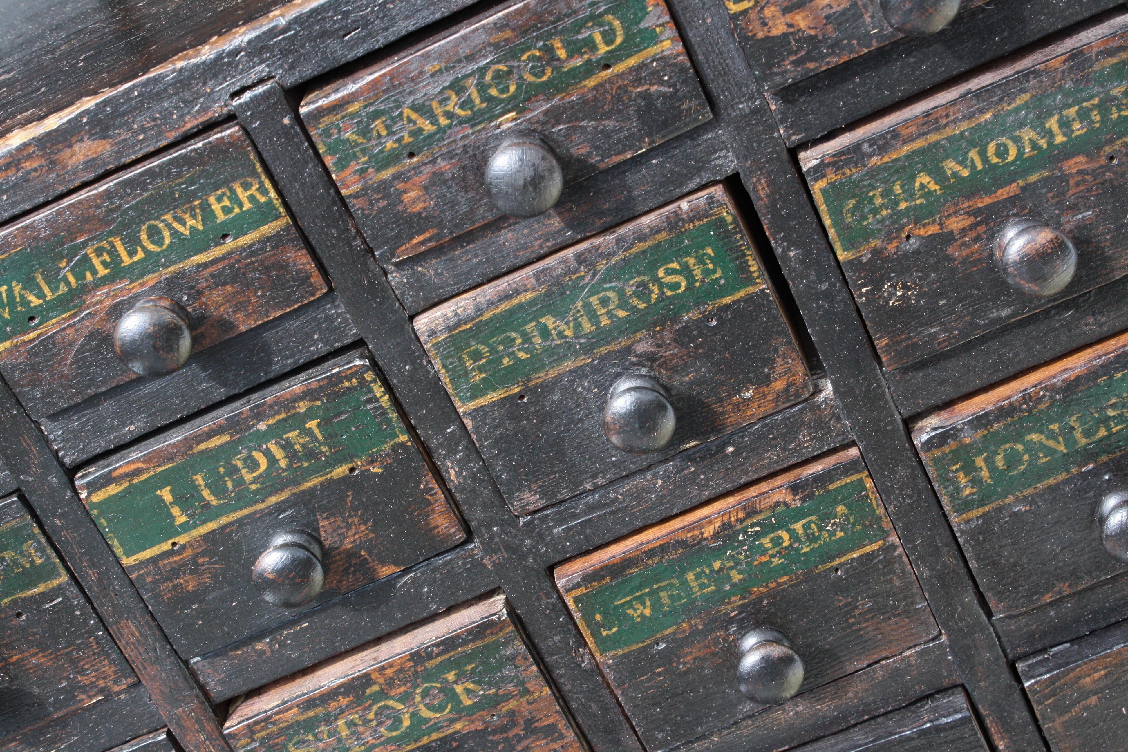 19th Century Horticulturalist Merchants Bank of Seed Shop Drawers 8