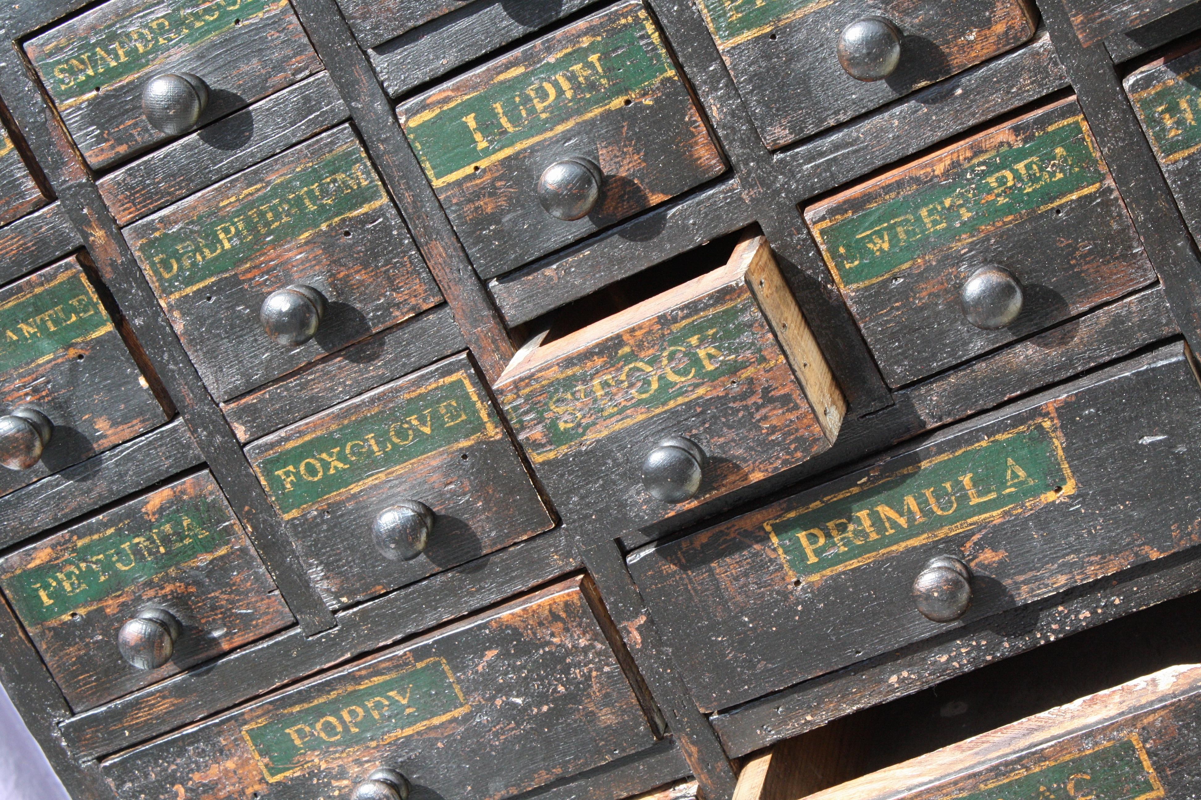 19th Century Horticulturalist Merchants Bank of Seed Shop Drawers 9