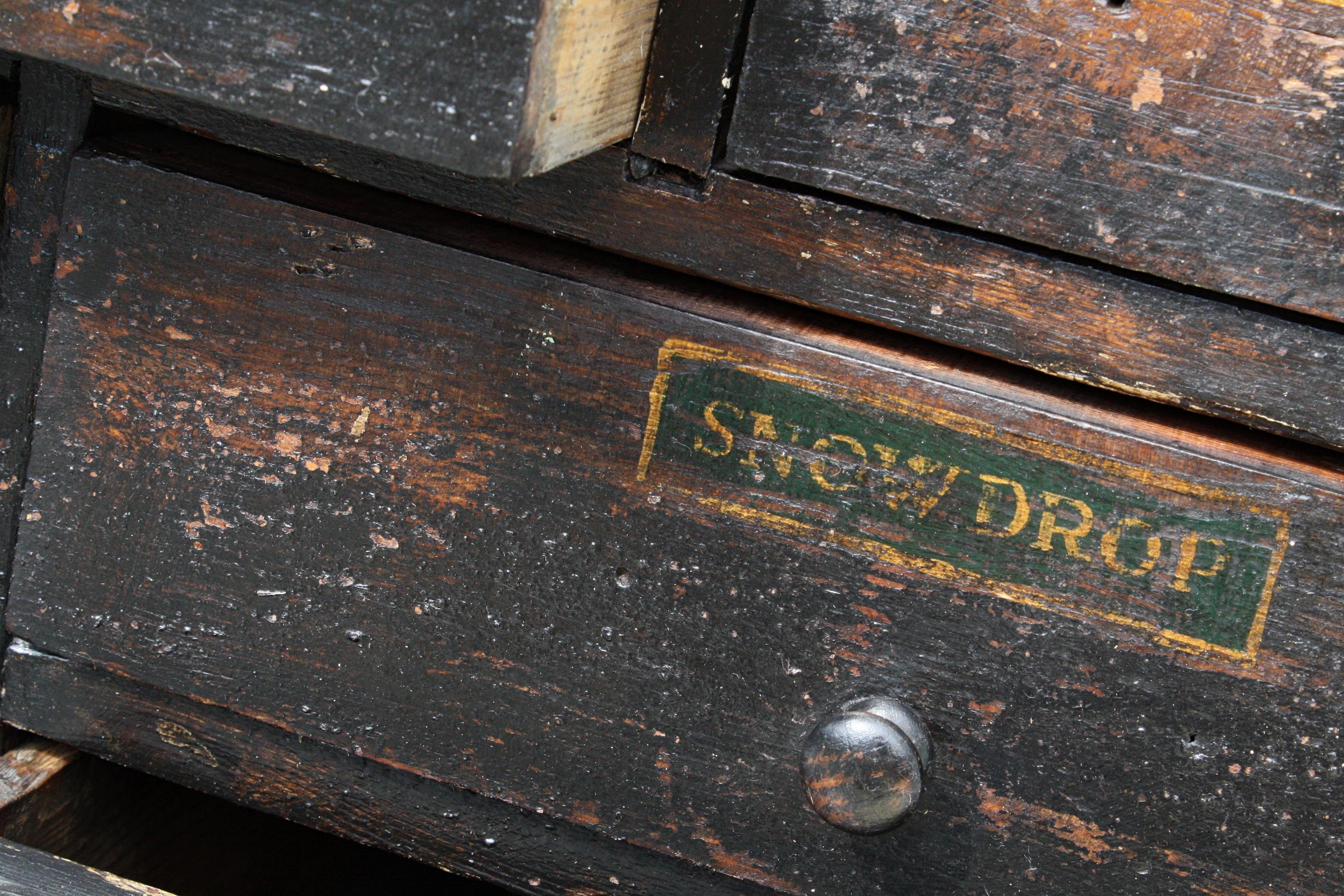 19th Century Horticulturalist Merchants Bank of Seed Shop Drawers 10