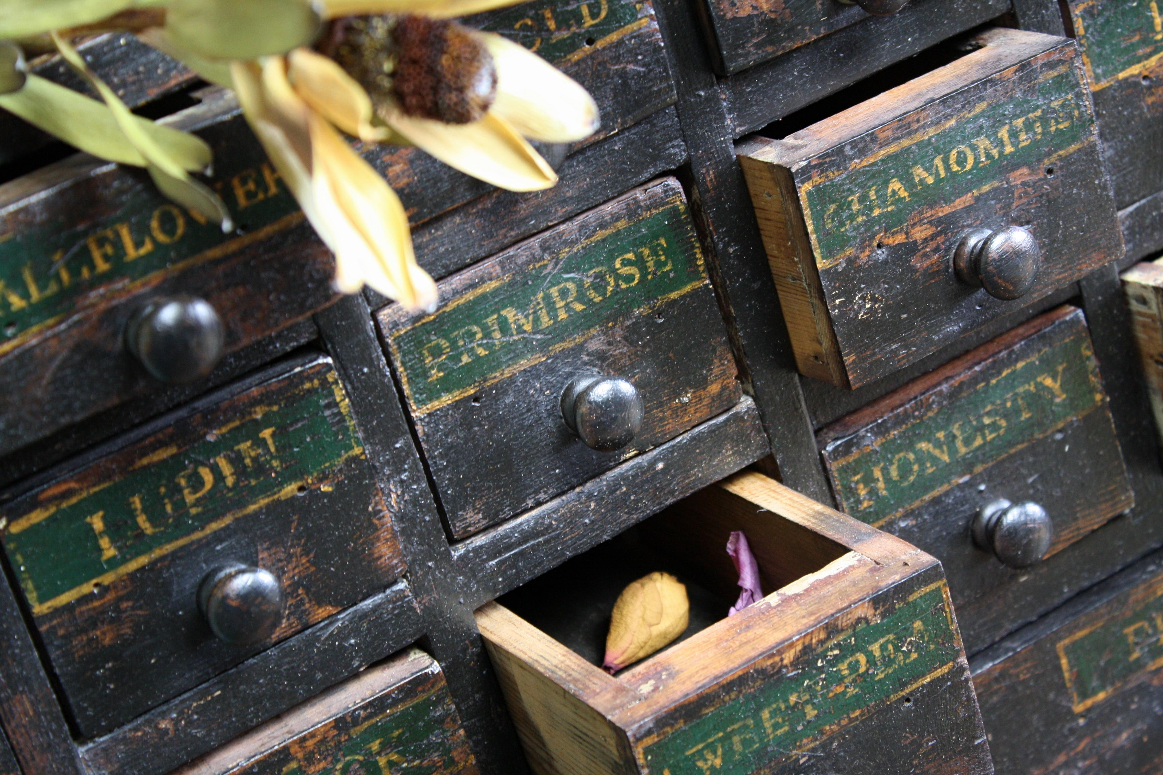 19th Century Horticulturalist Merchants Bank of Seed Shop Drawers In Fair Condition In Lowestoft, GB