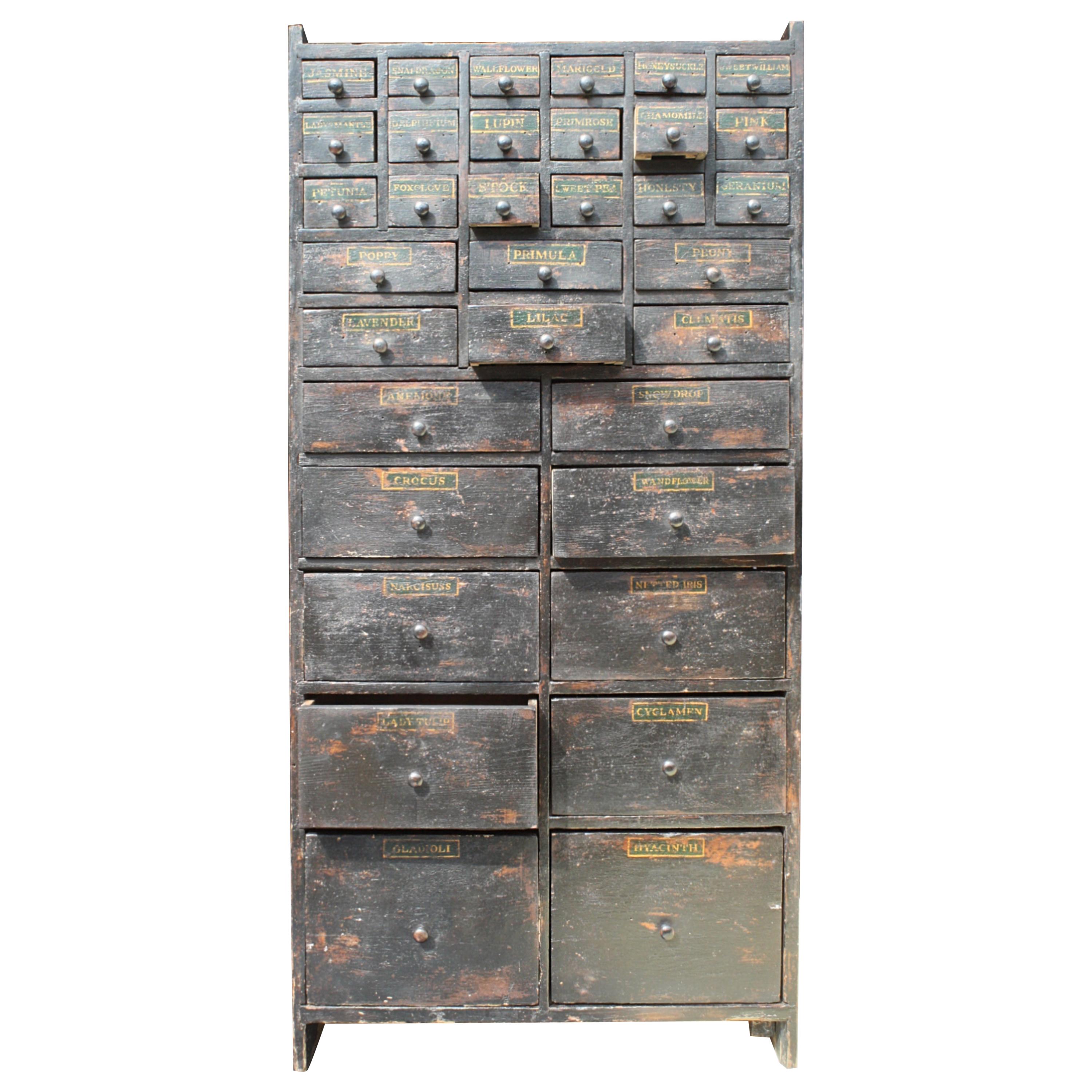 19th Century Horticulturalist Merchants Bank of Seed Shop Drawers