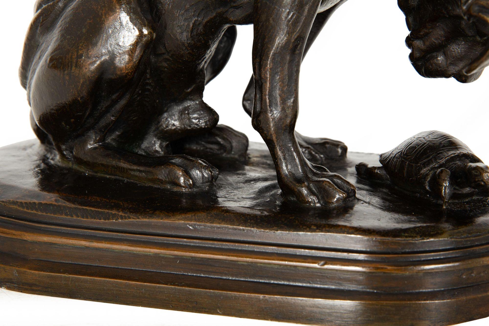 Sculpture en bronze du 19e siècle représentant un chien et une tortue, par Alfred Jacquemart en vente 5