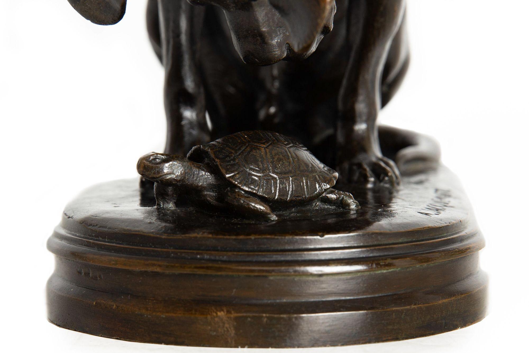 Sculpture en bronze du 19e siècle représentant un chien et une tortue, par Alfred Jacquemart en vente 10