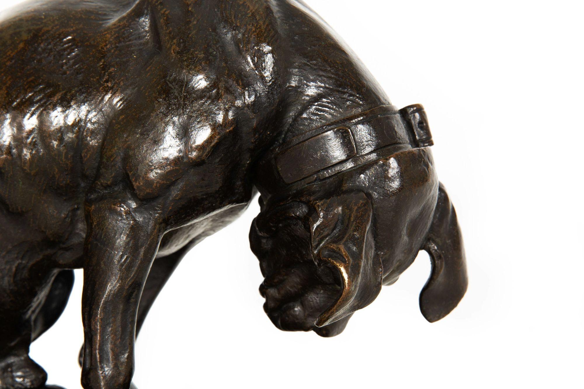 Sculpture en bronze du 19e siècle représentant un chien et une tortue, par Alfred Jacquemart en vente 11