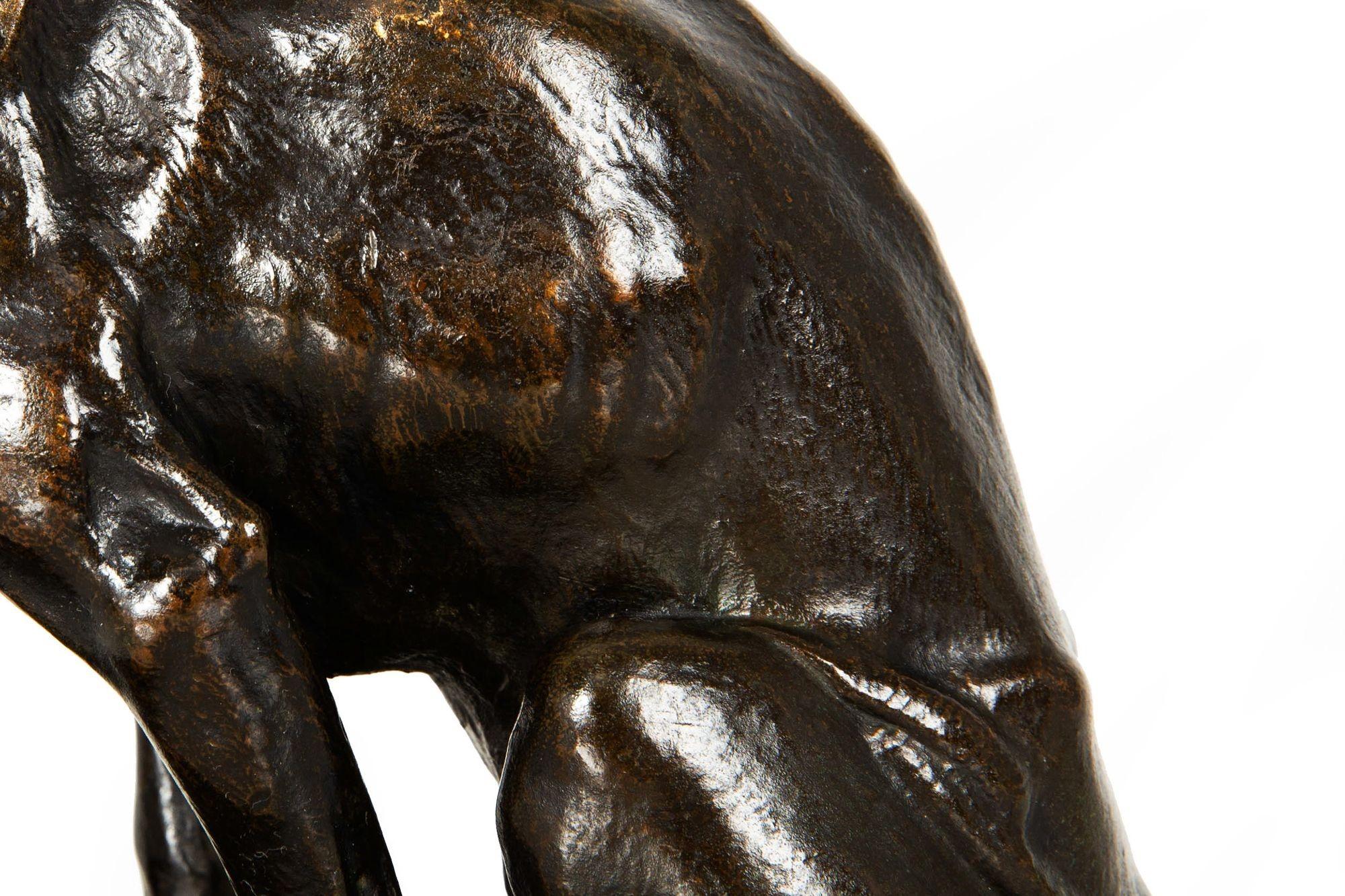 Sculpture en bronze du 19e siècle représentant un chien et une tortue, par Alfred Jacquemart en vente 12